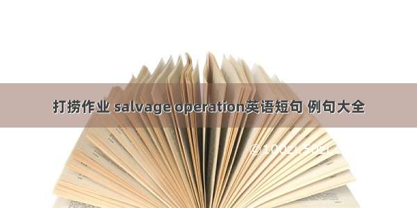 打捞作业 salvage operation英语短句 例句大全