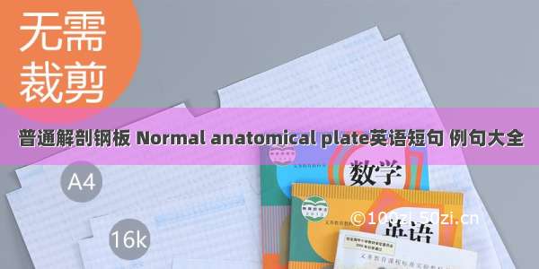 普通解剖钢板 Normal anatomical plate英语短句 例句大全