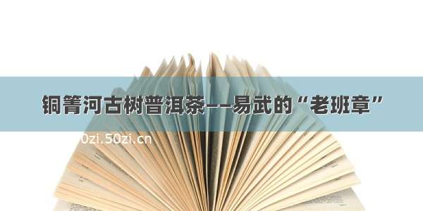 铜箐河古树普洱茶——易武的“老班章”