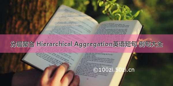 分层聚合 Hierarchical Aggregation英语短句 例句大全