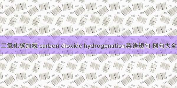 二氧化碳加氢 carbon dioxide hydrogenation英语短句 例句大全