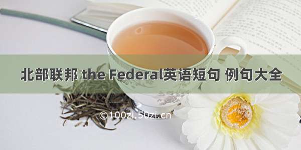 北部联邦 the Federal英语短句 例句大全