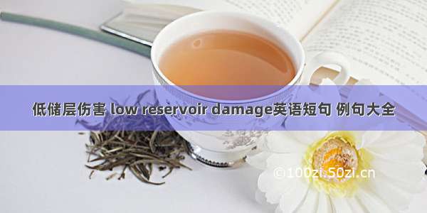 低储层伤害 low reservoir damage英语短句 例句大全