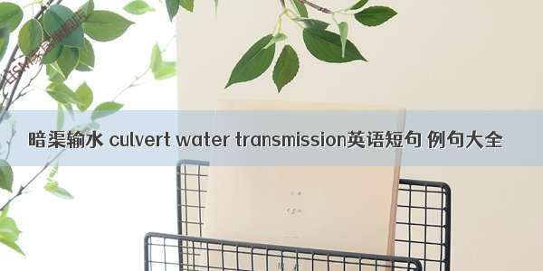 暗渠输水 culvert water transmission英语短句 例句大全