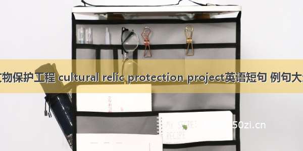 文物保护工程 cultural relic protection project英语短句 例句大全