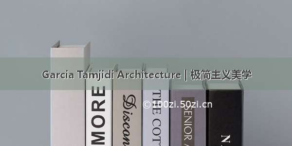 Garcia Tamjidi Architecture | 极简主义美学