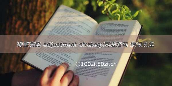 调整策略 adjustment strategy英语短句 例句大全