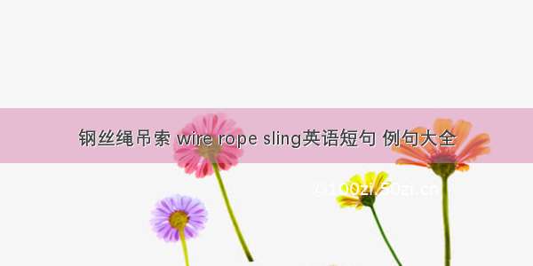 钢丝绳吊索 wire rope sling英语短句 例句大全