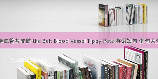 带血管蒂皮瓣 the Belt Blood Vessel Tippy Petal英语短句 例句大全