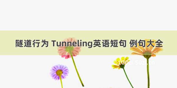 隧道行为 Tunneling英语短句 例句大全