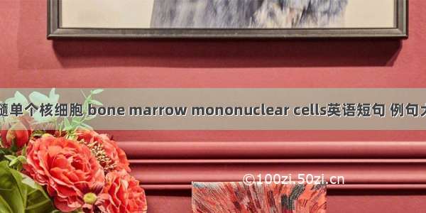 骨髓单个核细胞 bone marrow mononuclear cells英语短句 例句大全