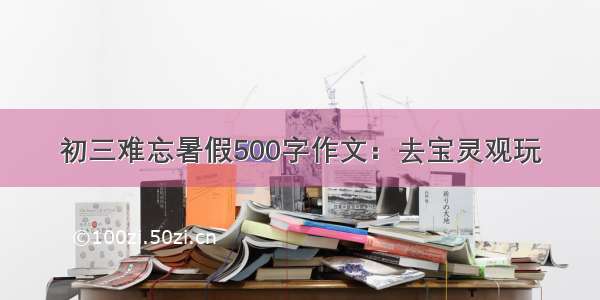 初三难忘暑假500字作文：去宝灵观玩