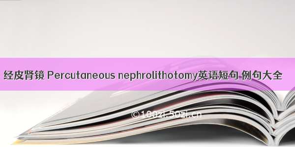 经皮肾镜 Percutaneous nephrolithotomy英语短句 例句大全