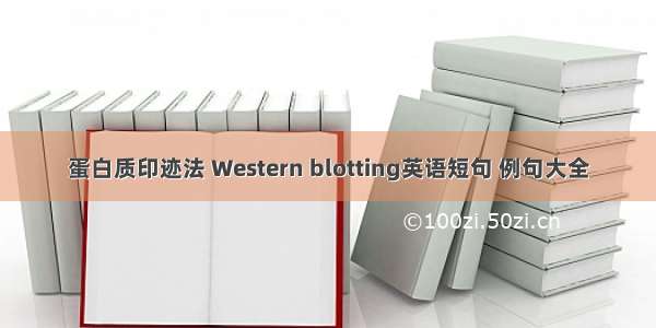 蛋白质印迹法 Western blotting英语短句 例句大全