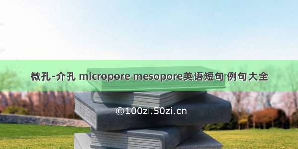 微孔-介孔 micropore mesopore英语短句 例句大全