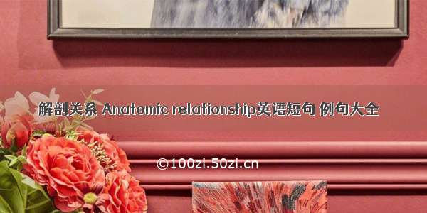 解剖关系 Anatomic relationship英语短句 例句大全