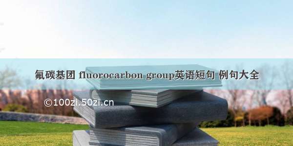 氟碳基团 fluorocarbon group英语短句 例句大全