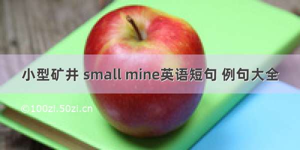 小型矿井 small mine英语短句 例句大全