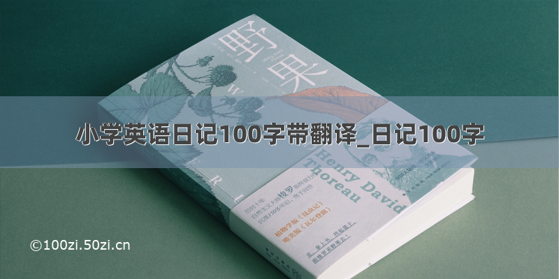 小学英语日记100字带翻译_日记100字