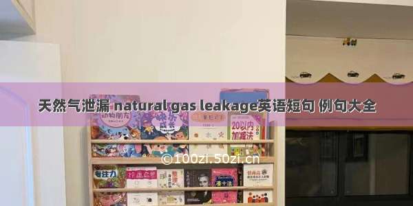 天然气泄漏 natural gas leakage英语短句 例句大全