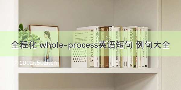 全程化 whole-process英语短句 例句大全