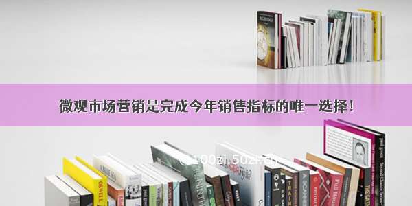 微观市场营销是完成今年销售指标的唯一选择！