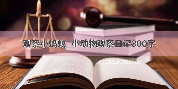 观察小蚂蚁_小动物观察日记300字