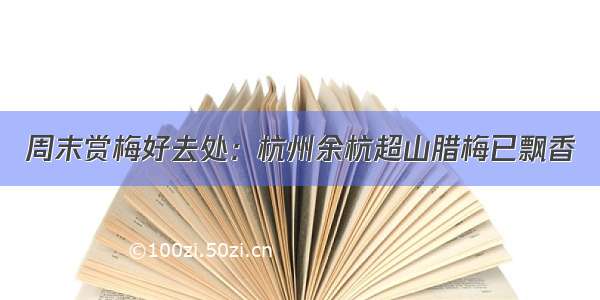 周末赏梅好去处：杭州余杭超山腊梅已飘香