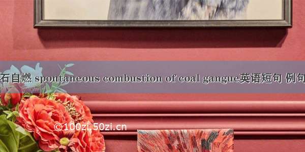 煤矸石自燃 spontaneous combustion of coal gangue英语短句 例句大全