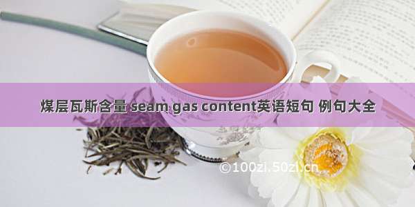 煤层瓦斯含量 seam gas content英语短句 例句大全