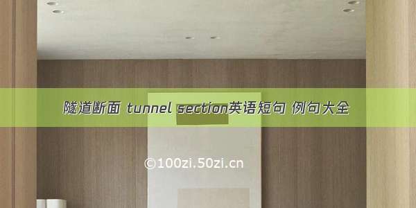 隧道断面 tunnel section英语短句 例句大全