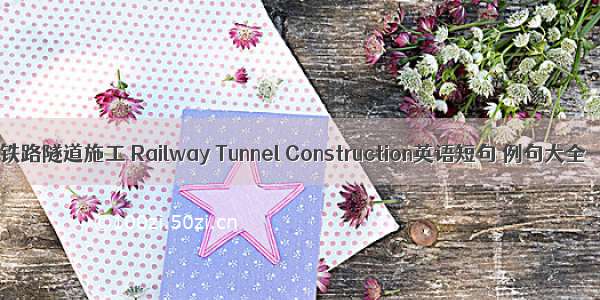 铁路隧道施工 Railway Tunnel Construction英语短句 例句大全