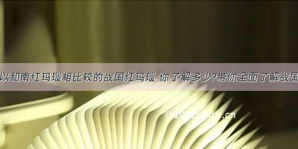 可以和南红玛瑙相比较的战国红玛瑙 你了解多少?带你全面了解战国红