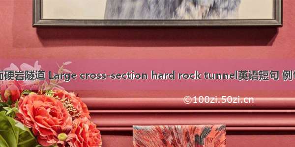 大断面硬岩隧道 Large cross-section hard rock tunnel英语短句 例句大全