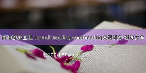 隧道穿越工程 tunnel crossing engineering英语短句 例句大全