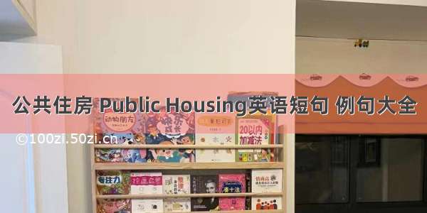 公共住房 Public Housing英语短句 例句大全