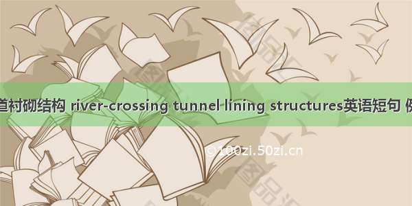 越江隧道衬砌结构 river-crossing tunnel lining structures英语短句 例句大全