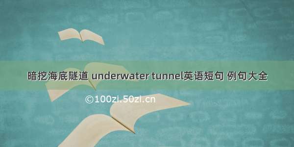 暗挖海底隧道 underwater tunnel英语短句 例句大全