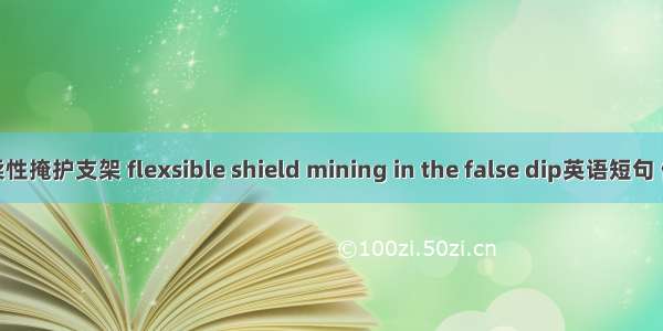伪倾斜柔性掩护支架 flexsible shield mining in the false dip英语短句 例句大全