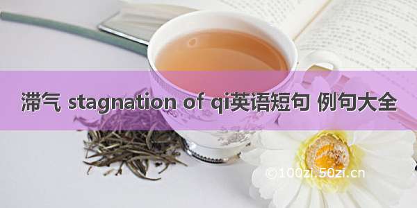 滞气 stagnation of qi英语短句 例句大全