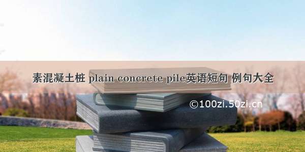 素混凝土桩 plain concrete pile英语短句 例句大全