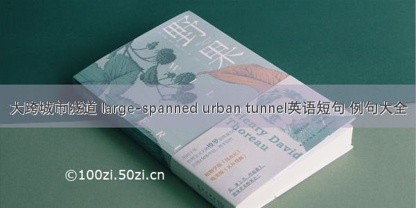 大跨城市隧道 large-spanned urban tunnel英语短句 例句大全