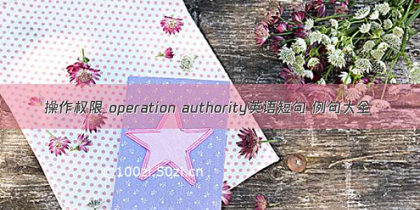 操作权限 operation authority英语短句 例句大全