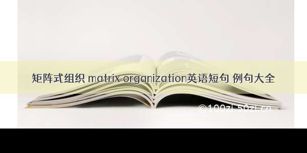 矩阵式组织 matrix organization英语短句 例句大全