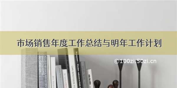 市场销售年度工作总结与明年工作计划