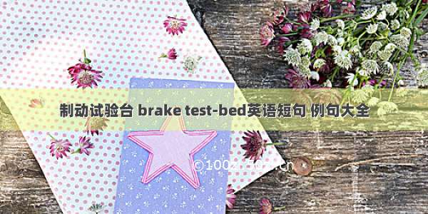 制动试验台 brake test-bed英语短句 例句大全