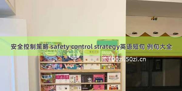 安全控制策略 safety control strategy英语短句 例句大全
