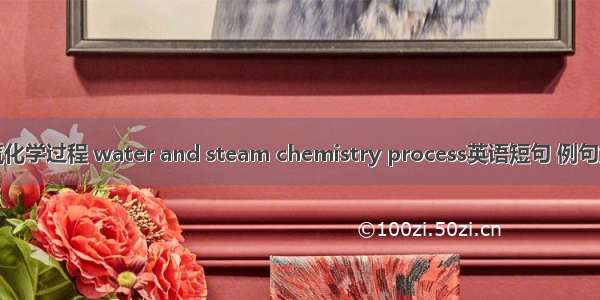 水汽化学过程 water and steam chemistry process英语短句 例句大全