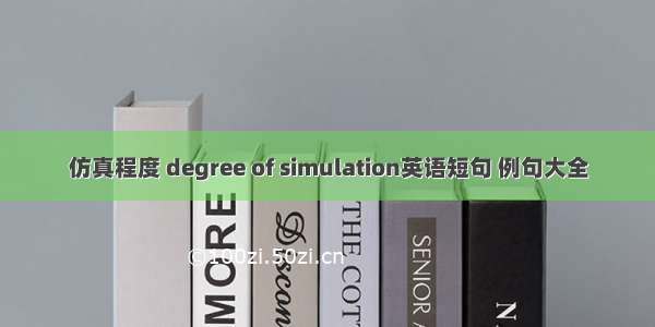 仿真程度 degree of simulation英语短句 例句大全