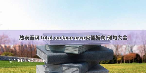 总表面积 total surface area英语短句 例句大全